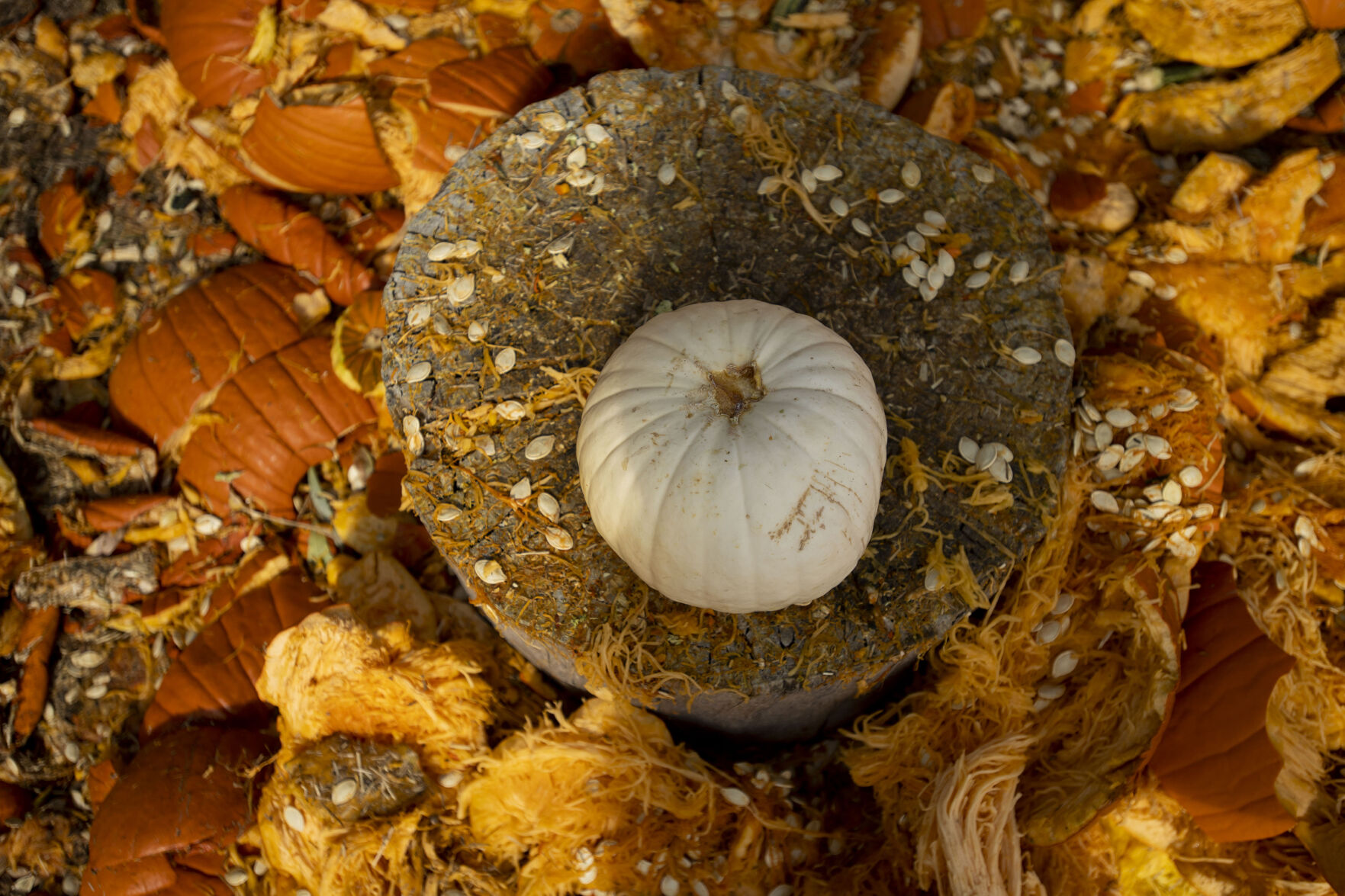 101021-news-minerspumpkins 06.jpg